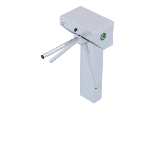 LTT 313